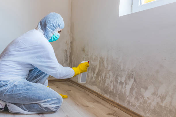 Crawl Space Mold Removal in West Modesto, CA