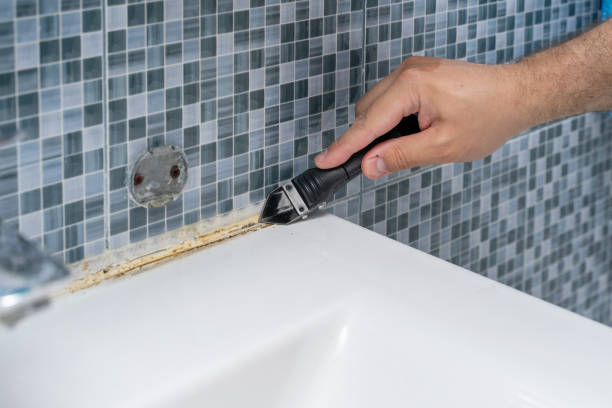 Best Professional Mold Removal  in West Modesto, CA