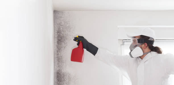 Certified Mold Removal in West Modesto, CA